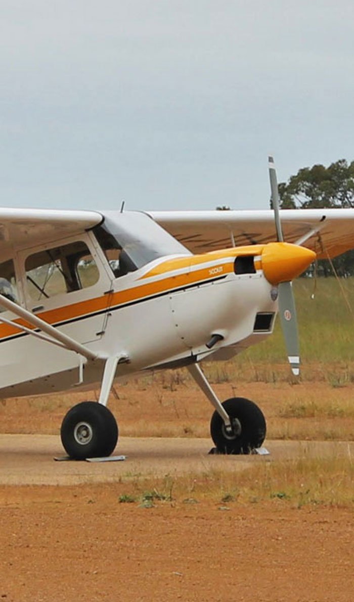 Pažintiniai lėktuvu